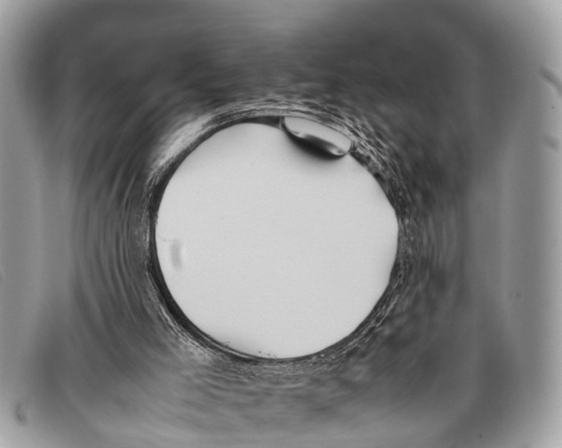 X0000097860005200804111205