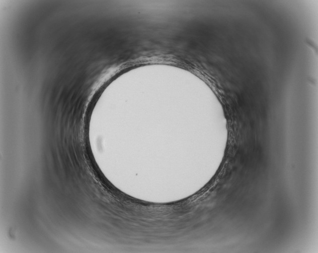 X0000097860008200804111204