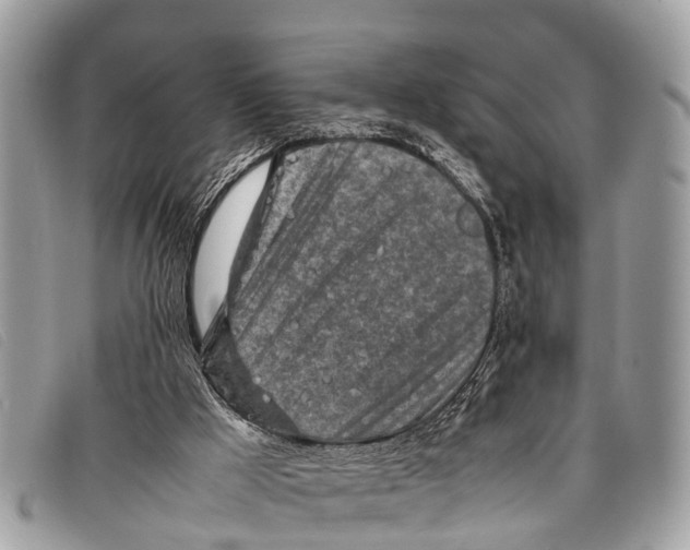 X0000097860009200804111204