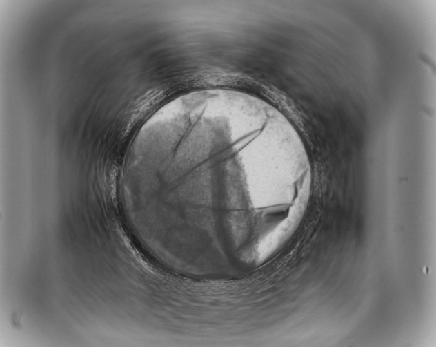 X0000097860010200804111204