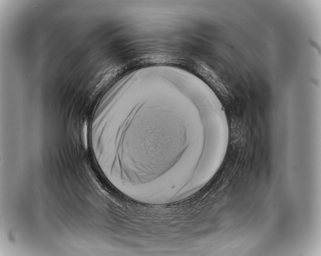 X0000097860014200804111204