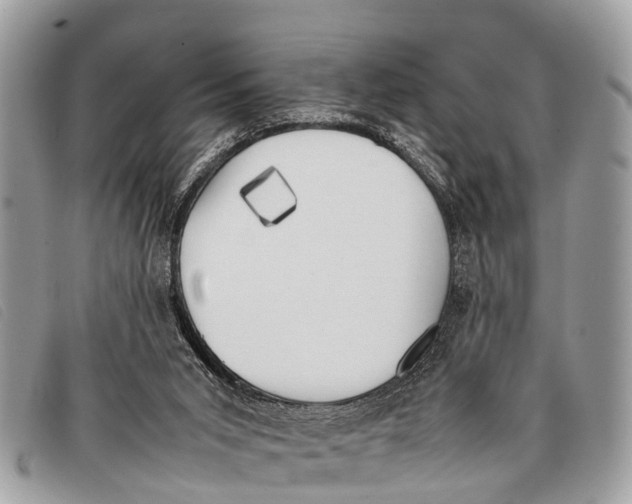 X0000097860015200804111204