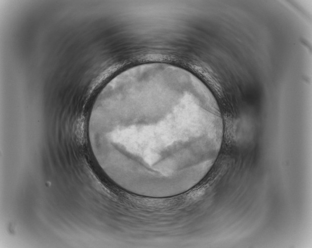 X0000097860016200804111204