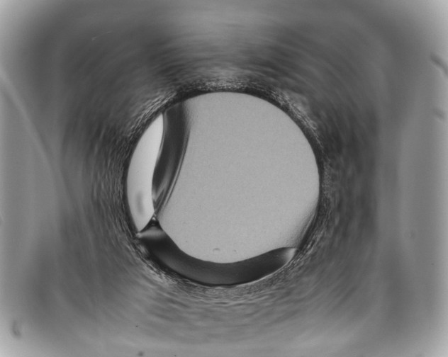 X0000097860017200804111204