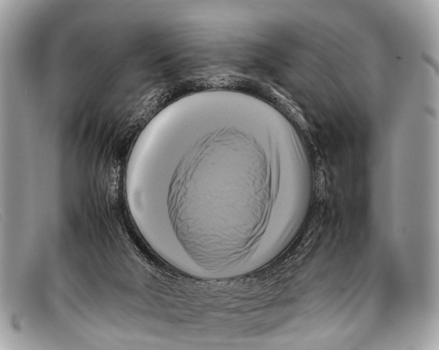 X0000097860018200804111204