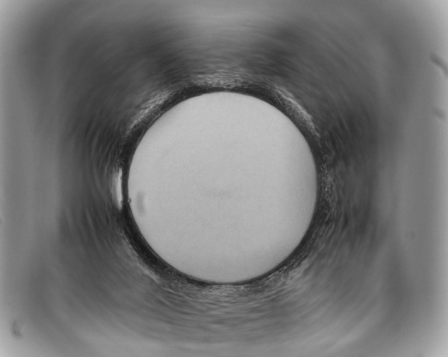 X0000097860020200804111204