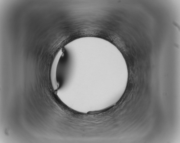 X0000097860021200804111204