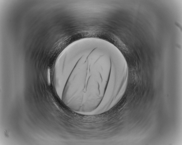 X0000097860022200804111204