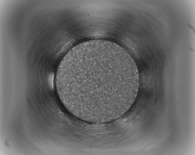 X0000097860024200804111204