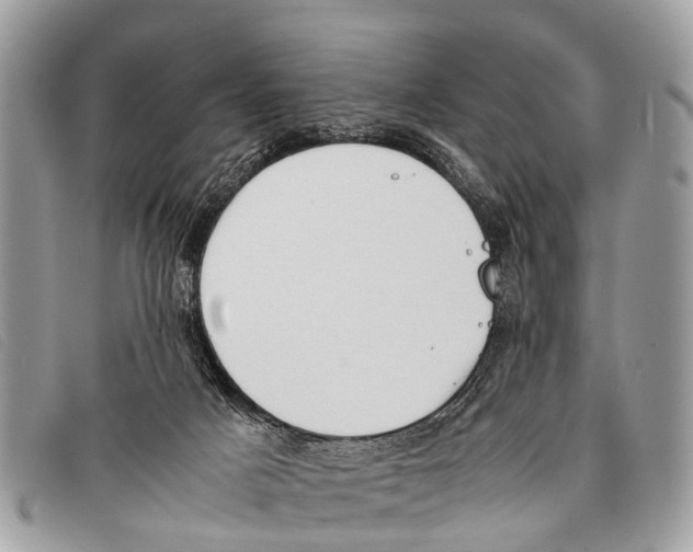 X0000097860025200804111204