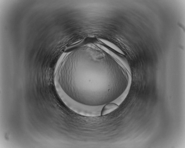 X0000097860030200804111204