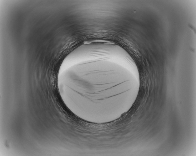 X0000097860031200804111204