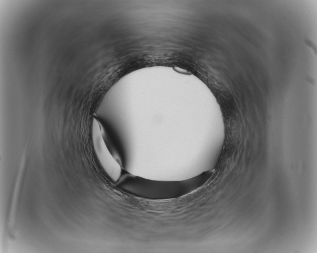 X0000097860033200804111204