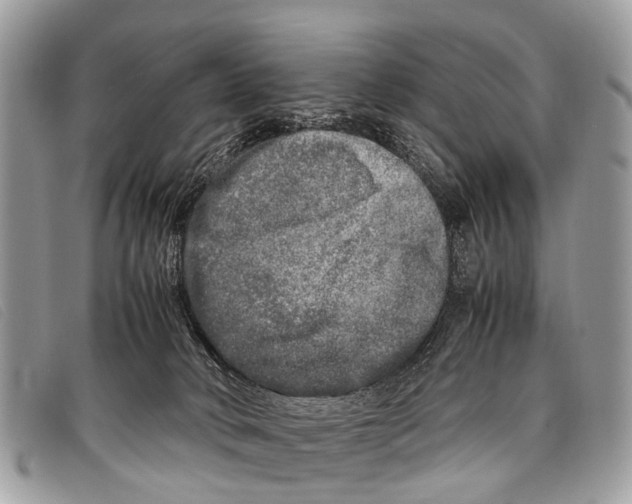 X0000097860034200804111204