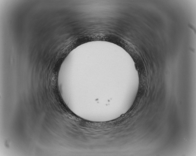 X0000097860037200804111204