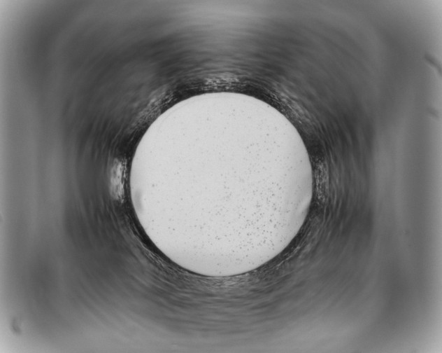 X0000097860038200804111204