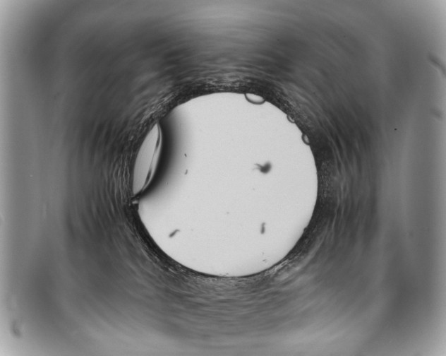 X0000097860040200804111204