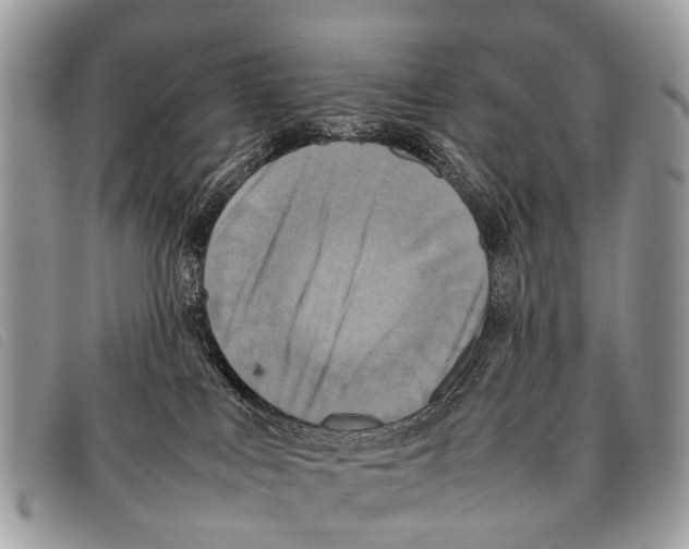 X0000097860043200804111204