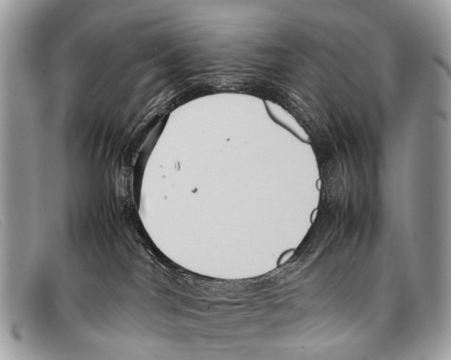 X0000097860044200804111204