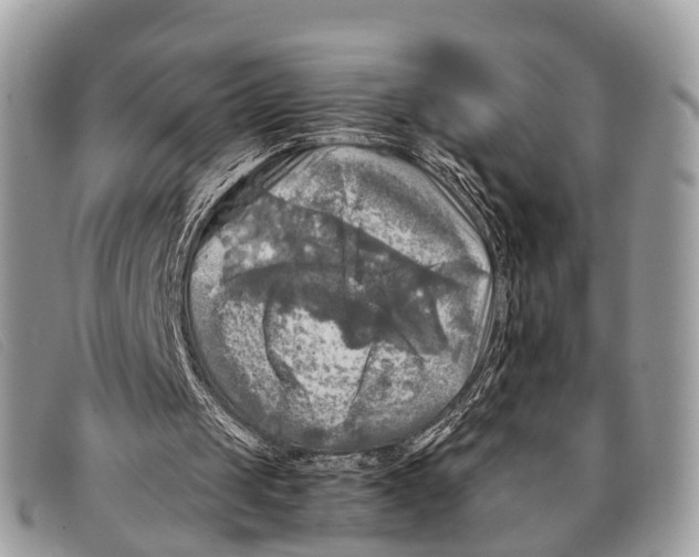 X0000097860049200804111203