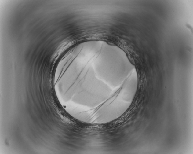 X0000097860050200804111203