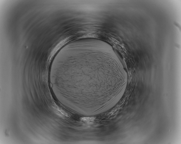 X0000097860051200804111203