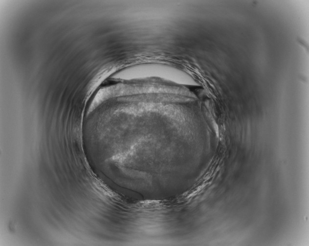 X0000097860052200804111203