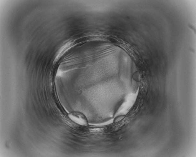 X0000097860053200804111203