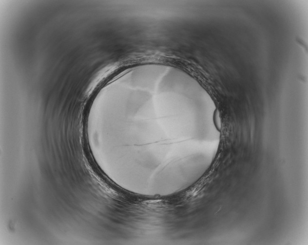 X0000097860054200804111203