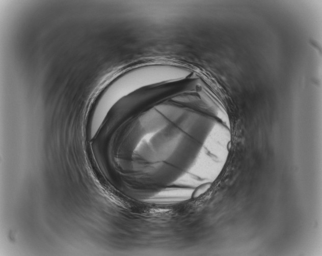 X0000097860055200804111203