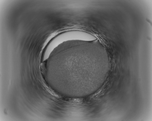 X0000097860056200804111203