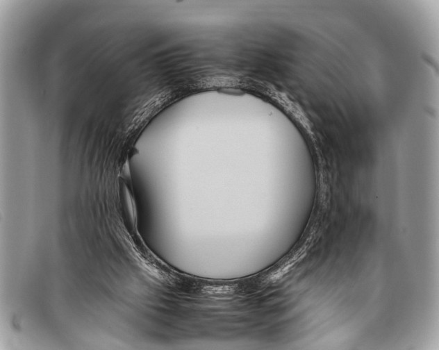 X0000097860057200804111203