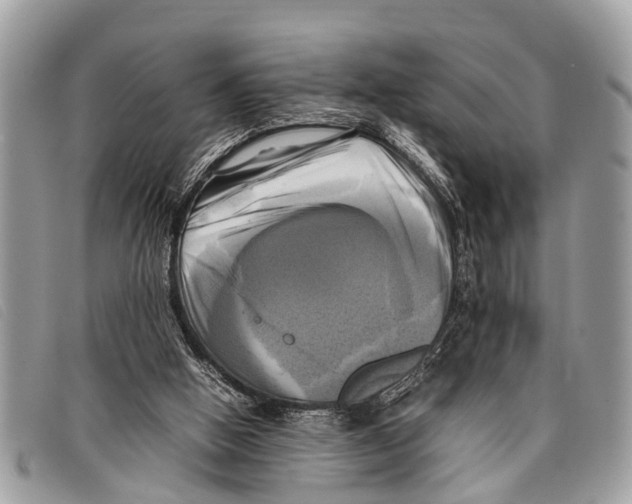 X0000097860058200804111203