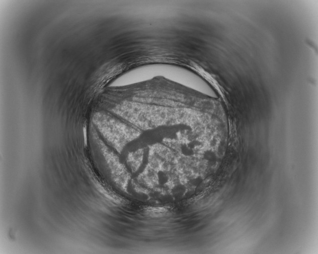 X0000097860061200804111203