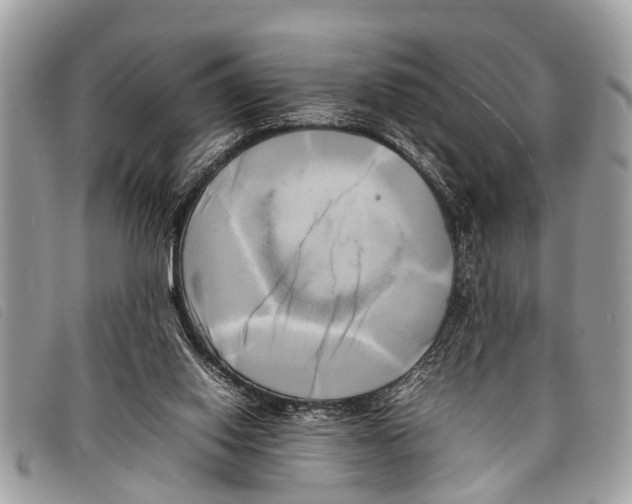 X0000097860062200804111203