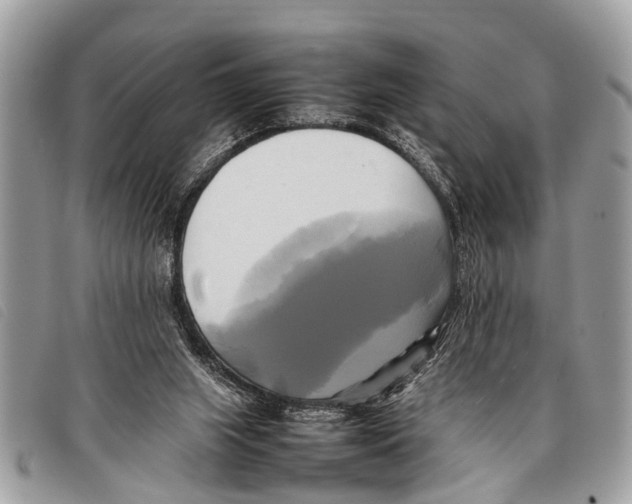 X0000097860063200804111203