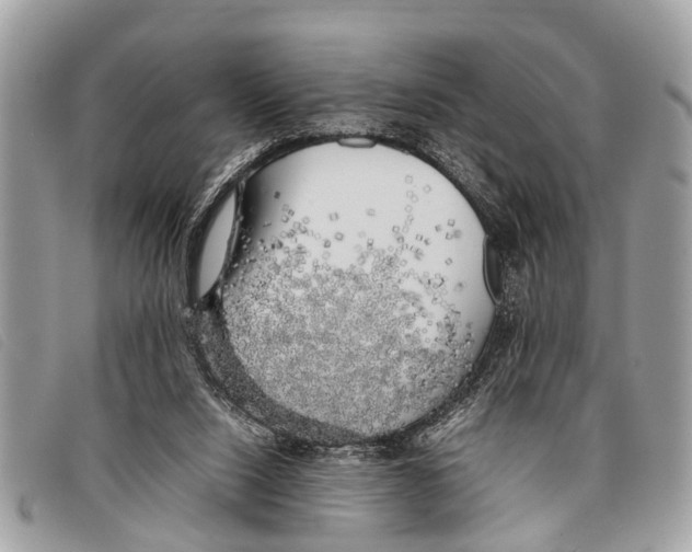 X0000097860064200804111203