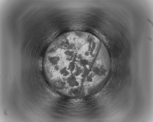 X0000097860065200804111203