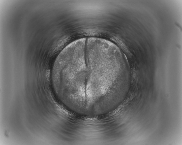 X0000097860066200804111203