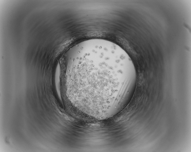 X0000097860068200804111203