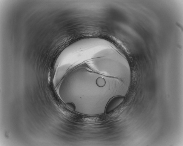 X0000097860069200804111203