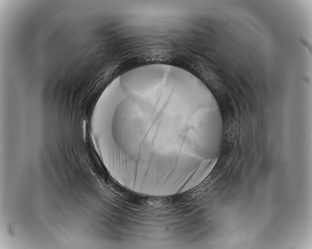 X0000097860070200804111204