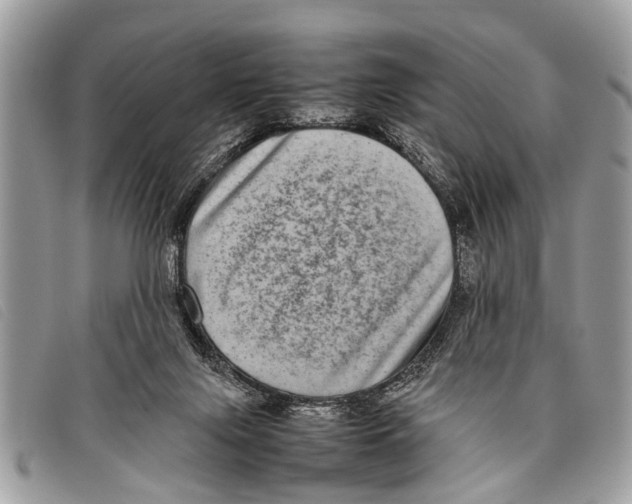 X0000097860071200804111204