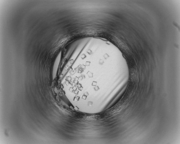 X0000097860072200804111204