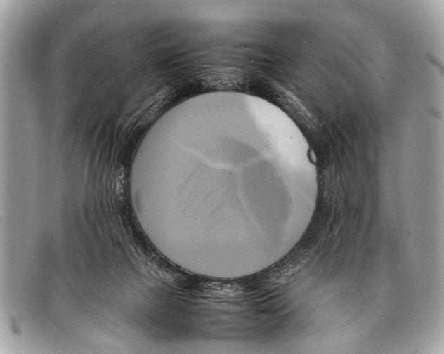 X0000097860073200804111204