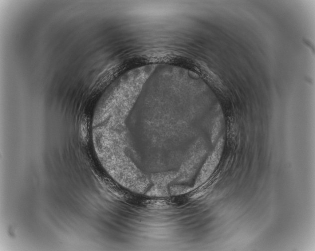 X0000097860074200804111204