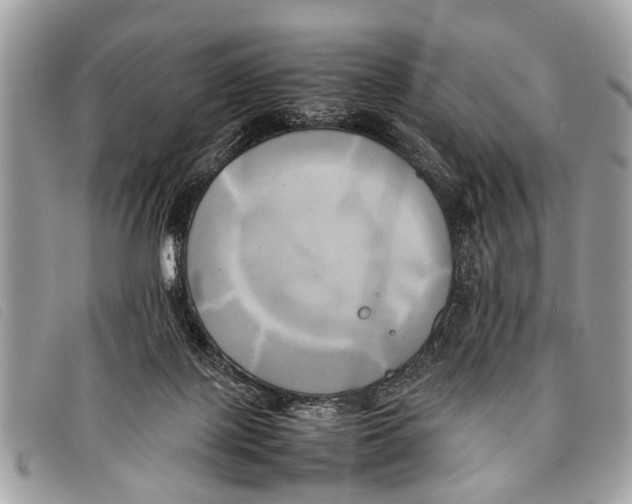 X0000097860075200804111204