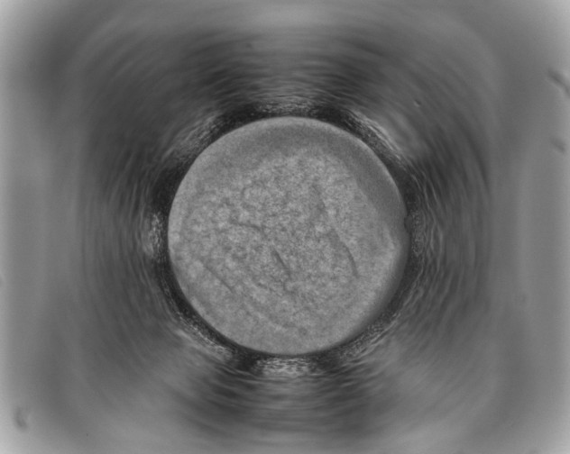 X0000097860077200804111204