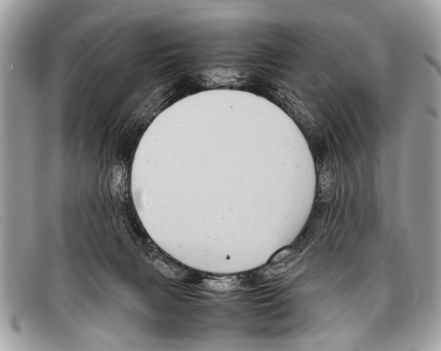 X0000097860079200804111204