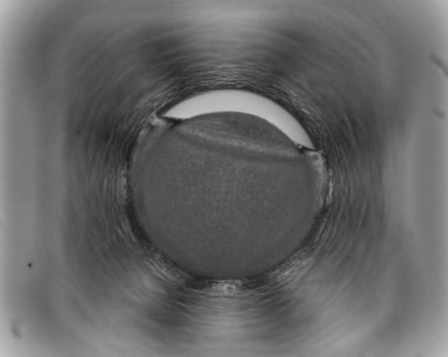 X0000097860080200804111204